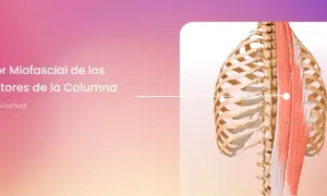 Músculos erector de la columna: su importancia para la salud lumbar