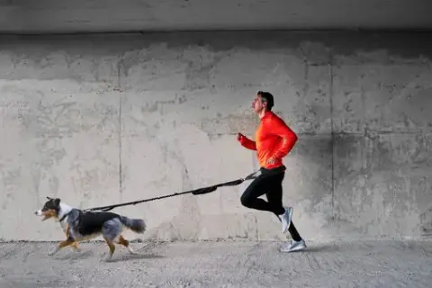 Cinturón para correr con perro: la solución para disfrutar sin molestias