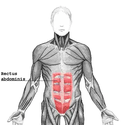 Zdjęcie Músculo del abdomen: funciones clave y ejercicios para fortalecerlo